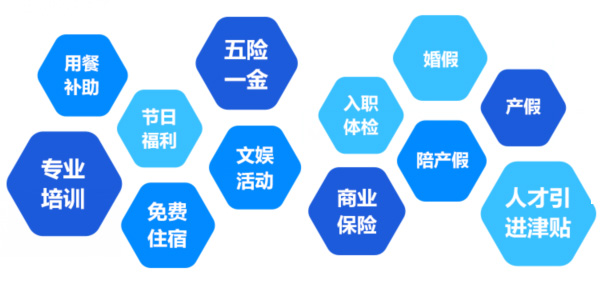 提供全面、系統、專(zhuān)業(yè)的培訓和廣闊的<br>職業(yè)發(fā)展空間和提升機會(huì )